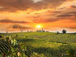 Entardecer em Chianti