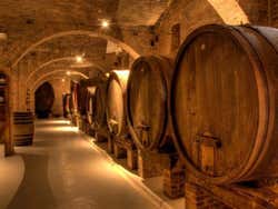 Visitando uma adega em Chianti