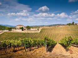 Chianti