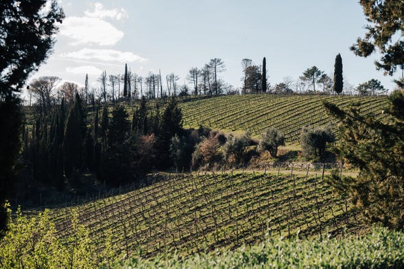 Tour do vinho pelo Chianti